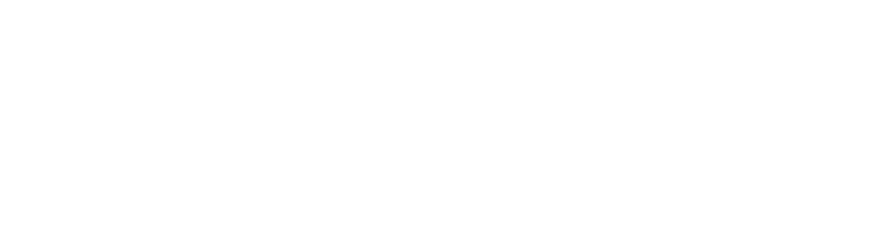 Prindikiisu